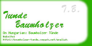 tunde baumholzer business card